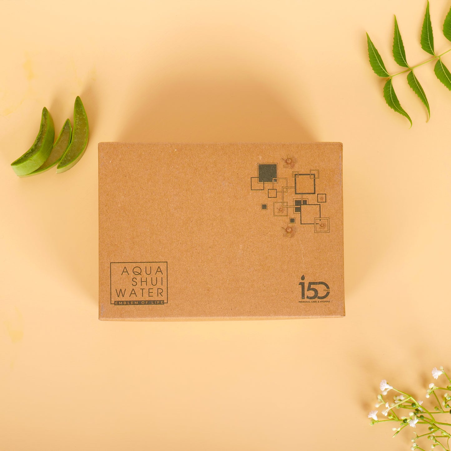 Gift Set for Neem Amla Teej