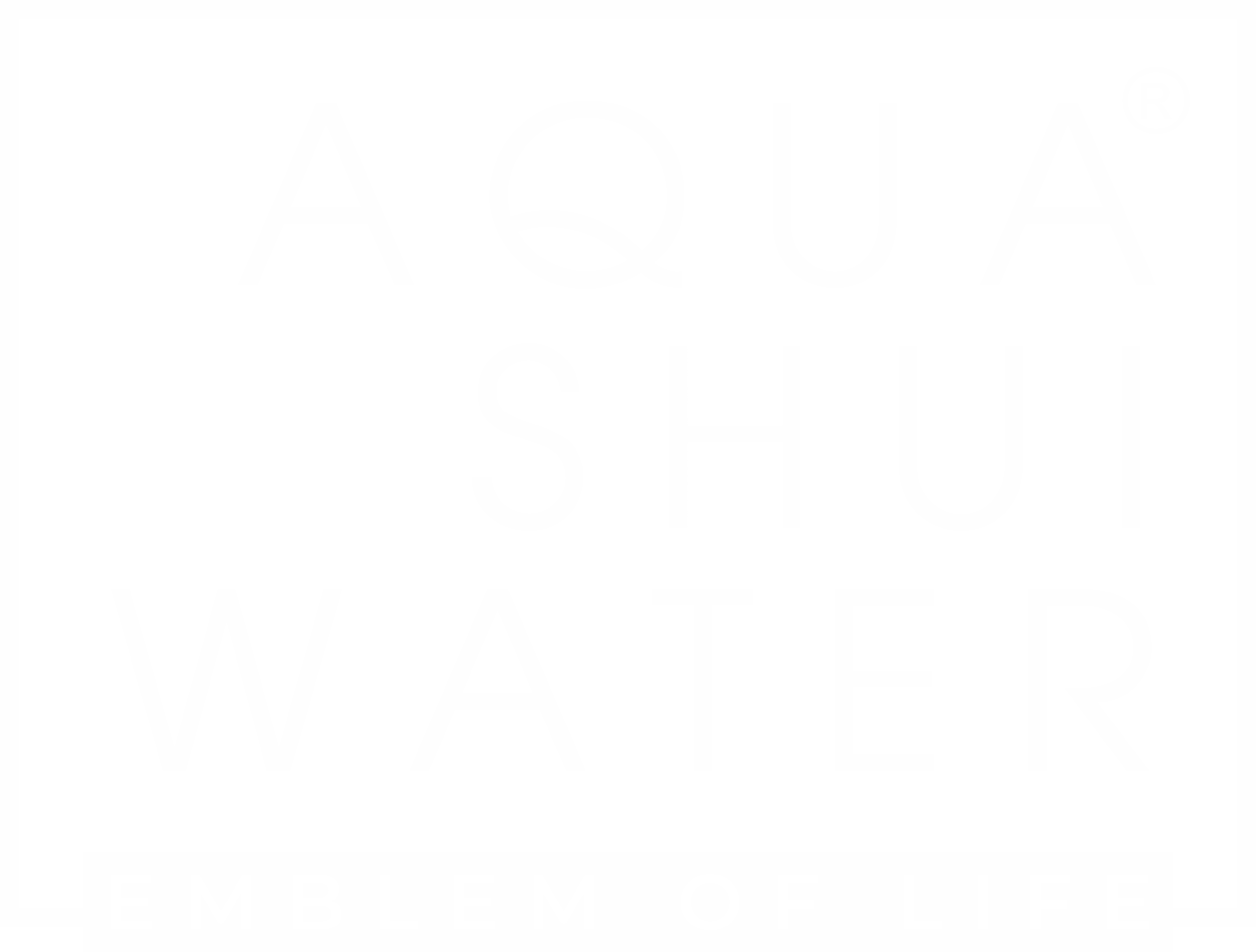 aqua shui loog